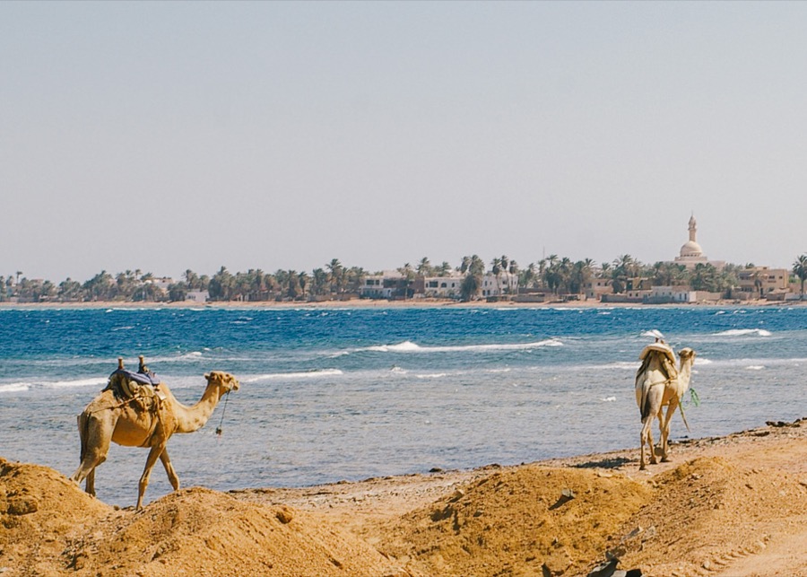 ahhfred - egypt-dahab-25