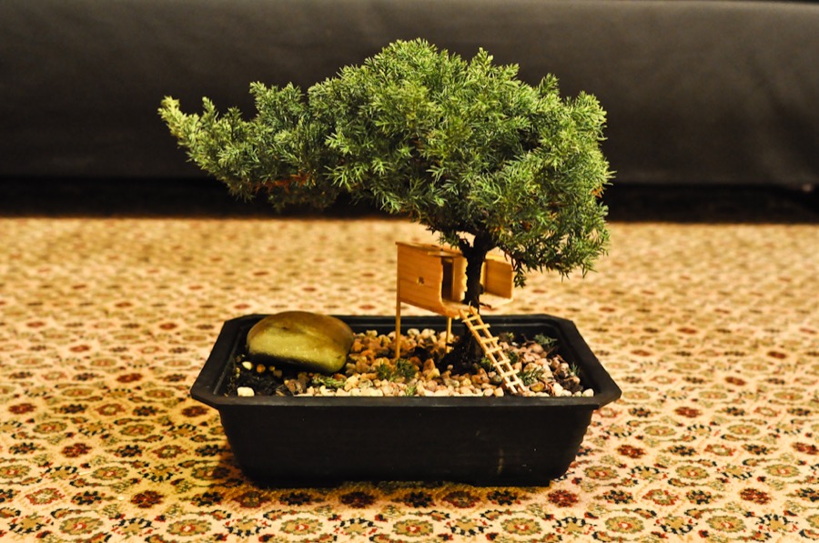 Treehouse out of miniature lumber on a bonsai tree