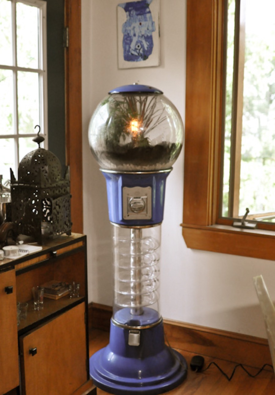 Gumball machine terrarium